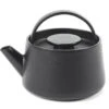 Serax INKU By Sergio Herman Theepot 600 Ml Gietijzer Zwart -Best Drankjes Winkel b6820001 1
