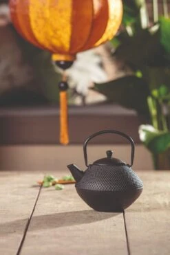 Bredemeijer Xinjang Theepot 1 Liter Gietijzer Zwart -Best Drankjes Winkel bredemeijer xinjang theepot 1 liter gietijzer zwart 3